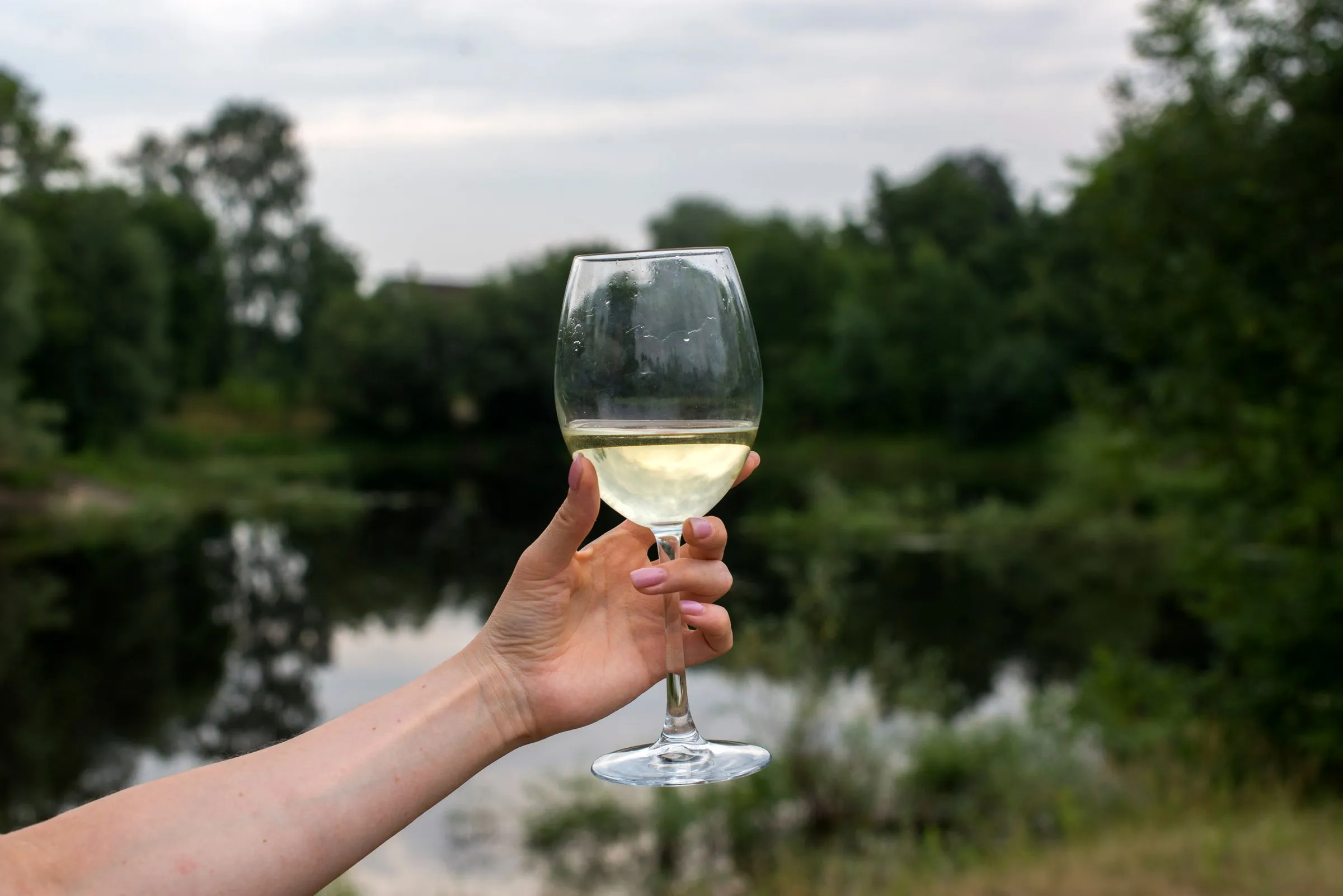 Copa de txakoli en alto, con el verde de Urdaibai desenfocado al fondo